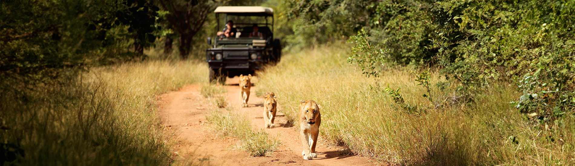 Kruger National Park
