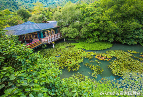 享受自然生態豐富的踏青之旅