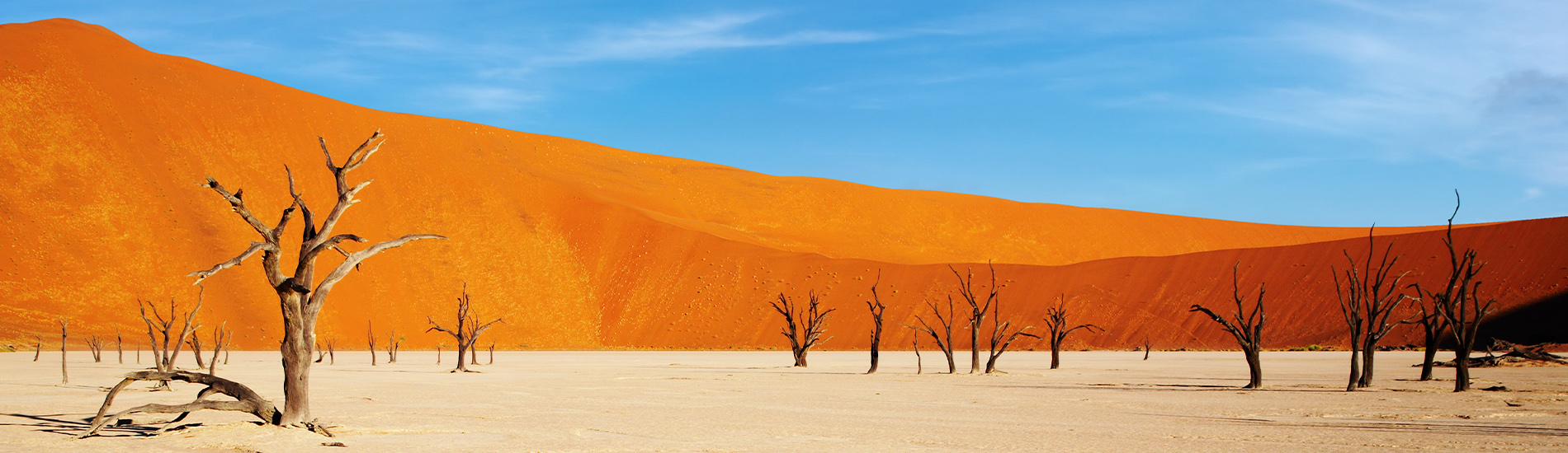 Sossusvlei 索蘇斯鹽沼