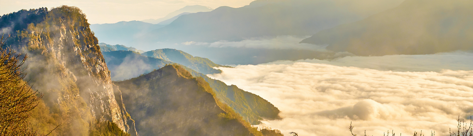 阿里山