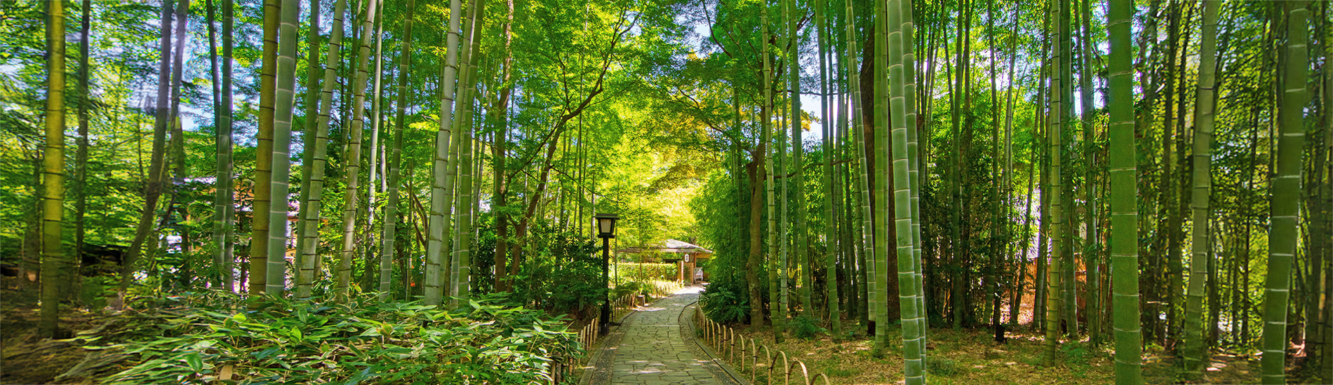 修善寺