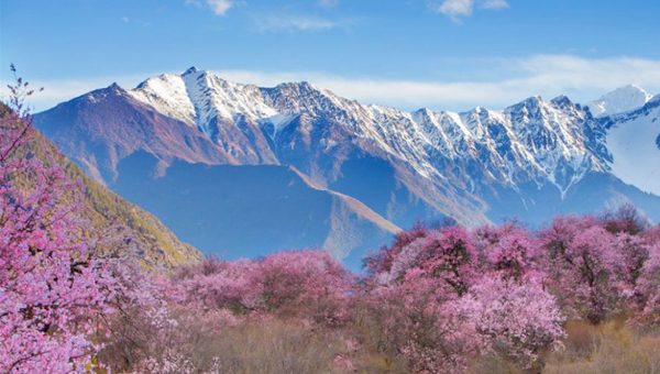 西藏林芝桃花季風情遊 (含聖母峰)