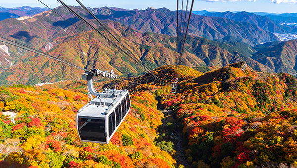 日本北海道風情遊 賞秋楓