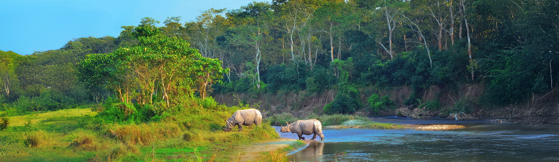 原始叢林 Chitwan
