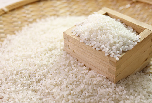 全世界最好吃的米：越光米