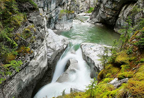 萬年沖擊切割灰岩床 Maligne Canyon