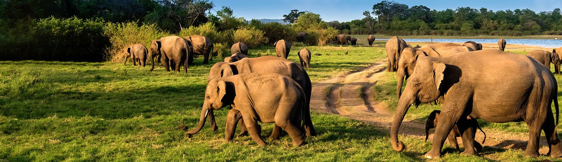 Yala National Park