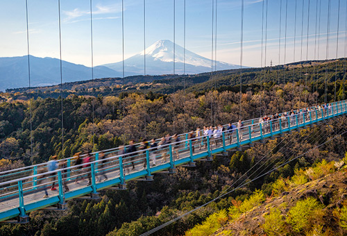 漫步三島Skywalk環視壯麗美景