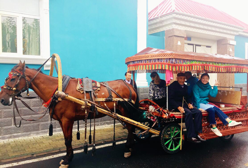 乘小馬車走街串巷