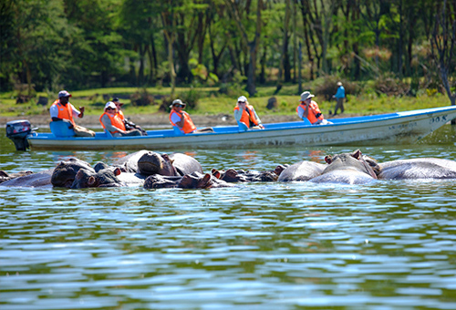 船遊 Lake Naivasha