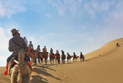 騎著駱駝遊沙漠