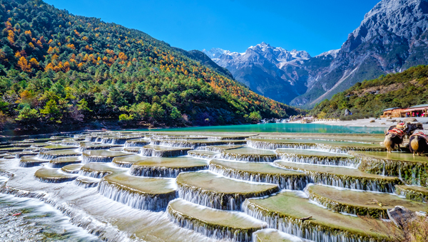雲南風情遊 (含香格里拉)