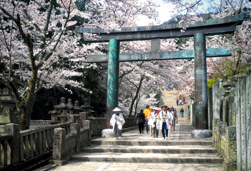 挑戰日本最難參拜的神社「金刀比羅宮」