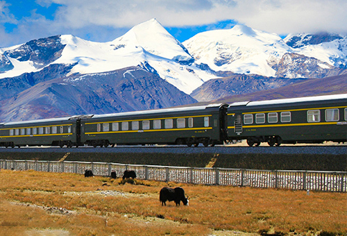青藏列車Qingzang Railway